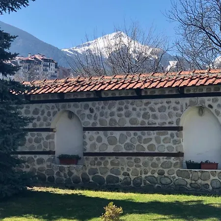 Dolomiti & *